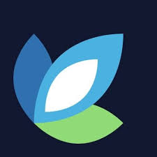 Evoluted Shopify开发